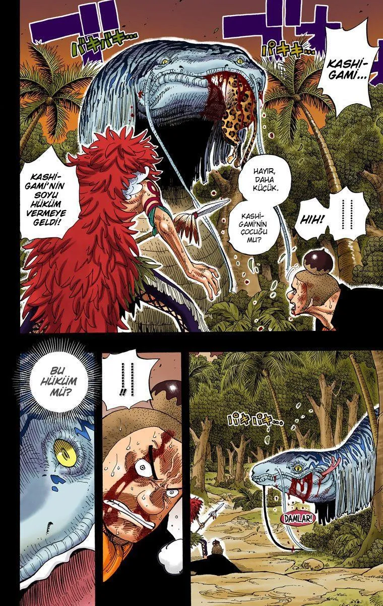 One Piece [Renkli] - Sayfa 15