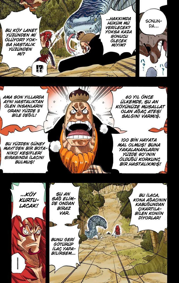 One Piece [Renkli] - Sayfa 16