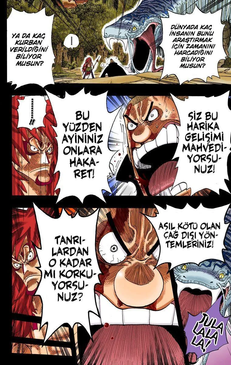 One Piece [Renkli] - Sayfa 17