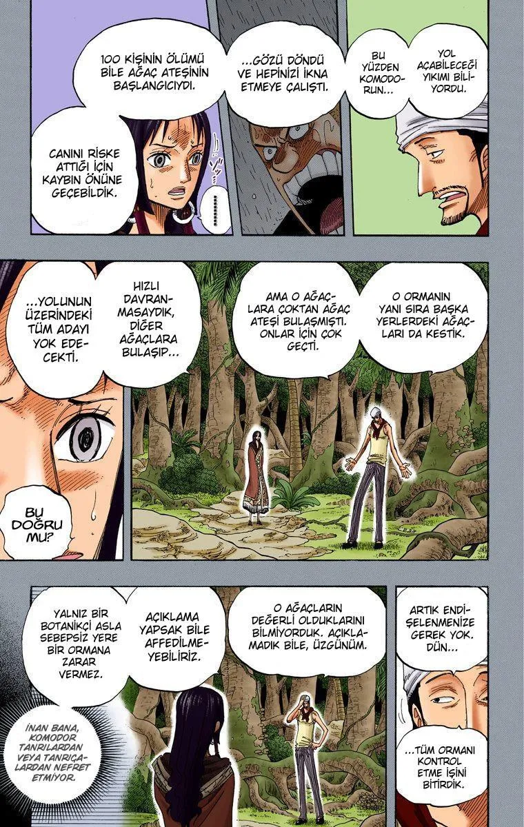 One Piece [Renkli] - Sayfa 14