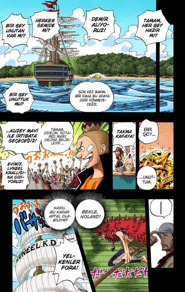 One Piece [Renkli] - Sayfa 16