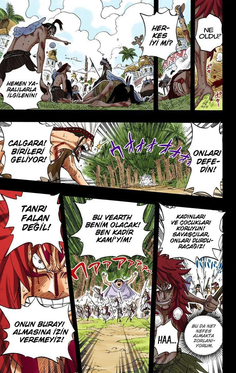 One Piece [Renkli] - Sayfa 17