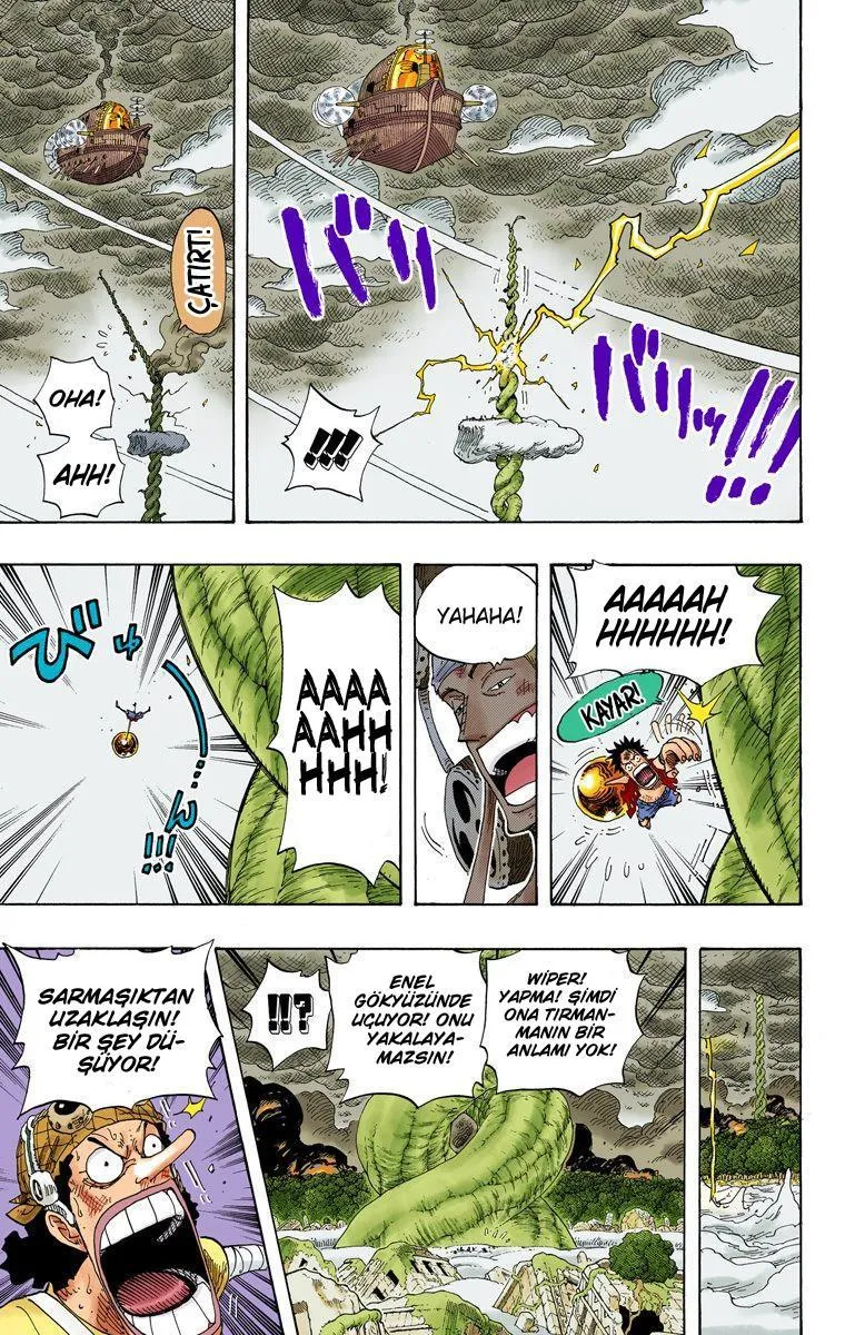 One Piece [Renkli] - Sayfa 6