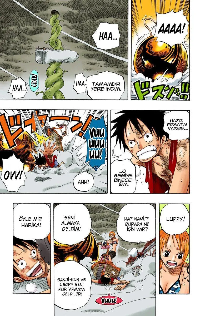 One Piece [Renkli] - Sayfa 10