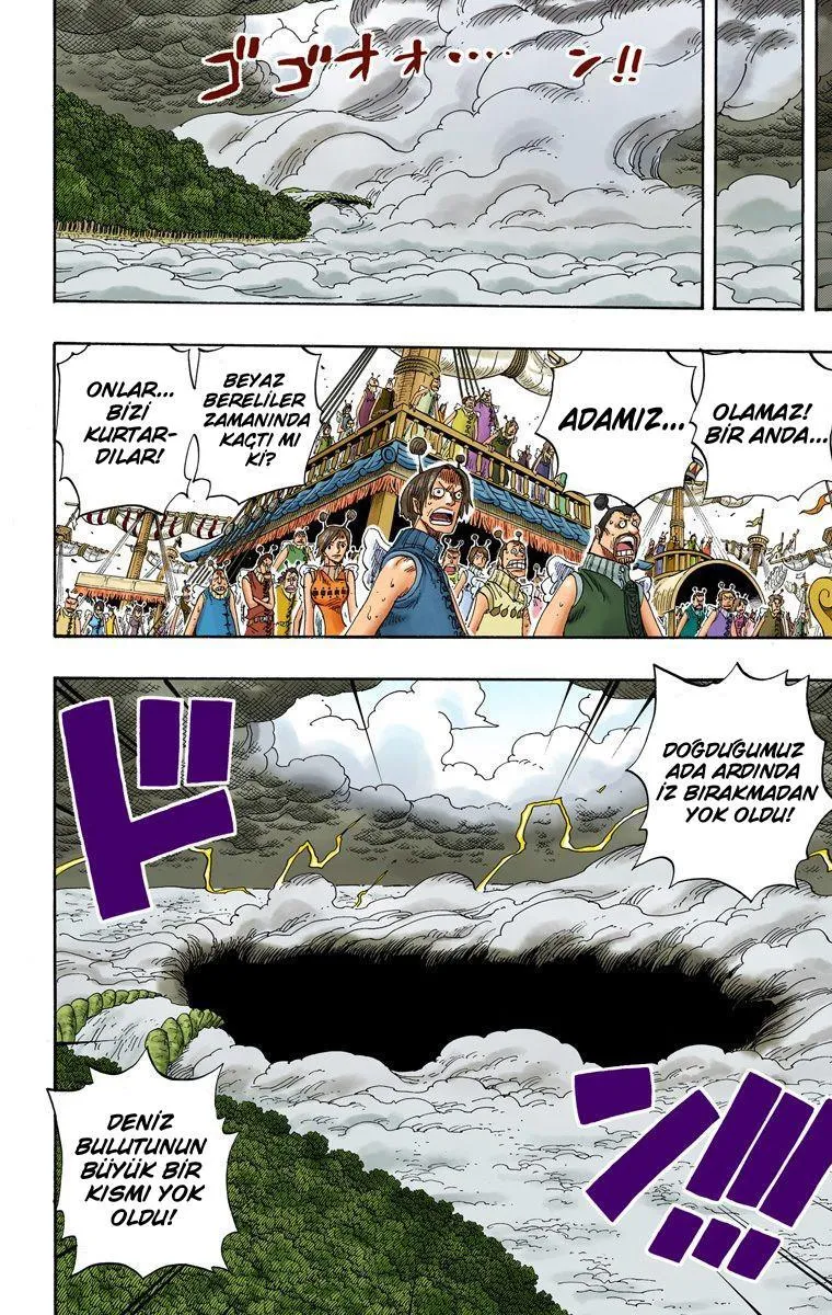 One Piece [Renkli] - Sayfa 14