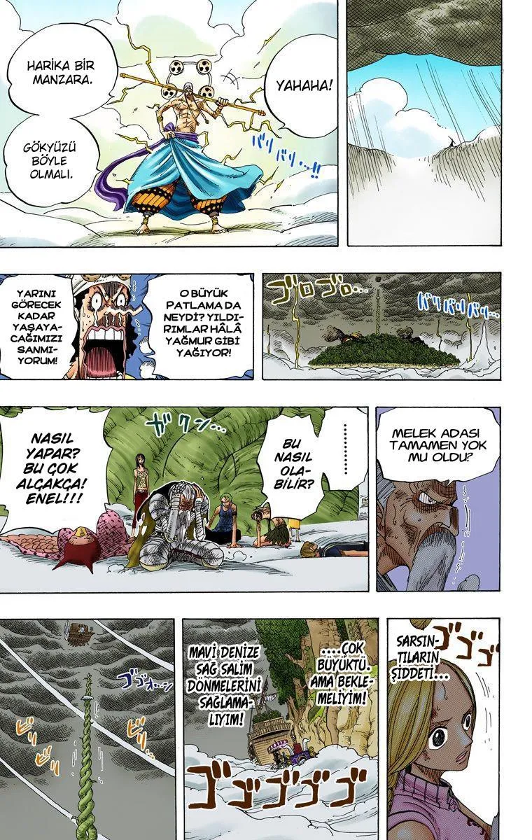 One Piece [Renkli] - Sayfa 15