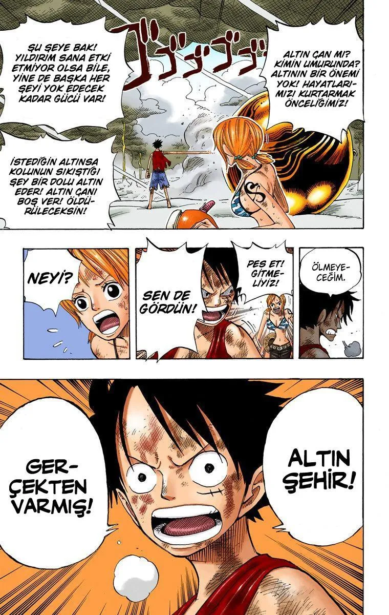 One Piece [Renkli] - Sayfa 17