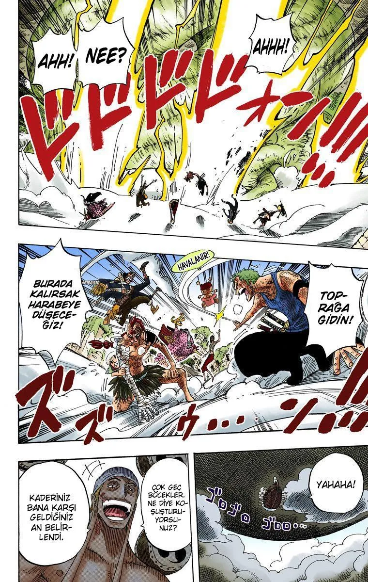 One Piece [Renkli] - Sayfa 17