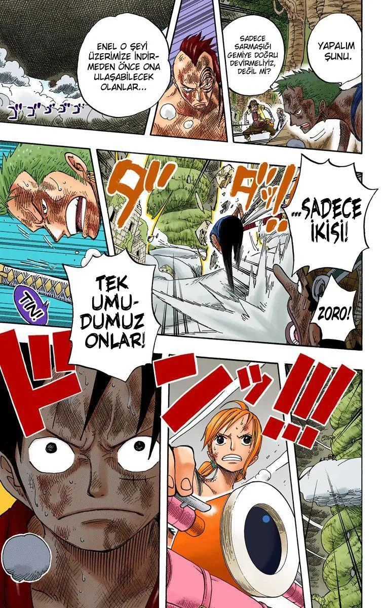 One Piece [Renkli] - Sayfa 18