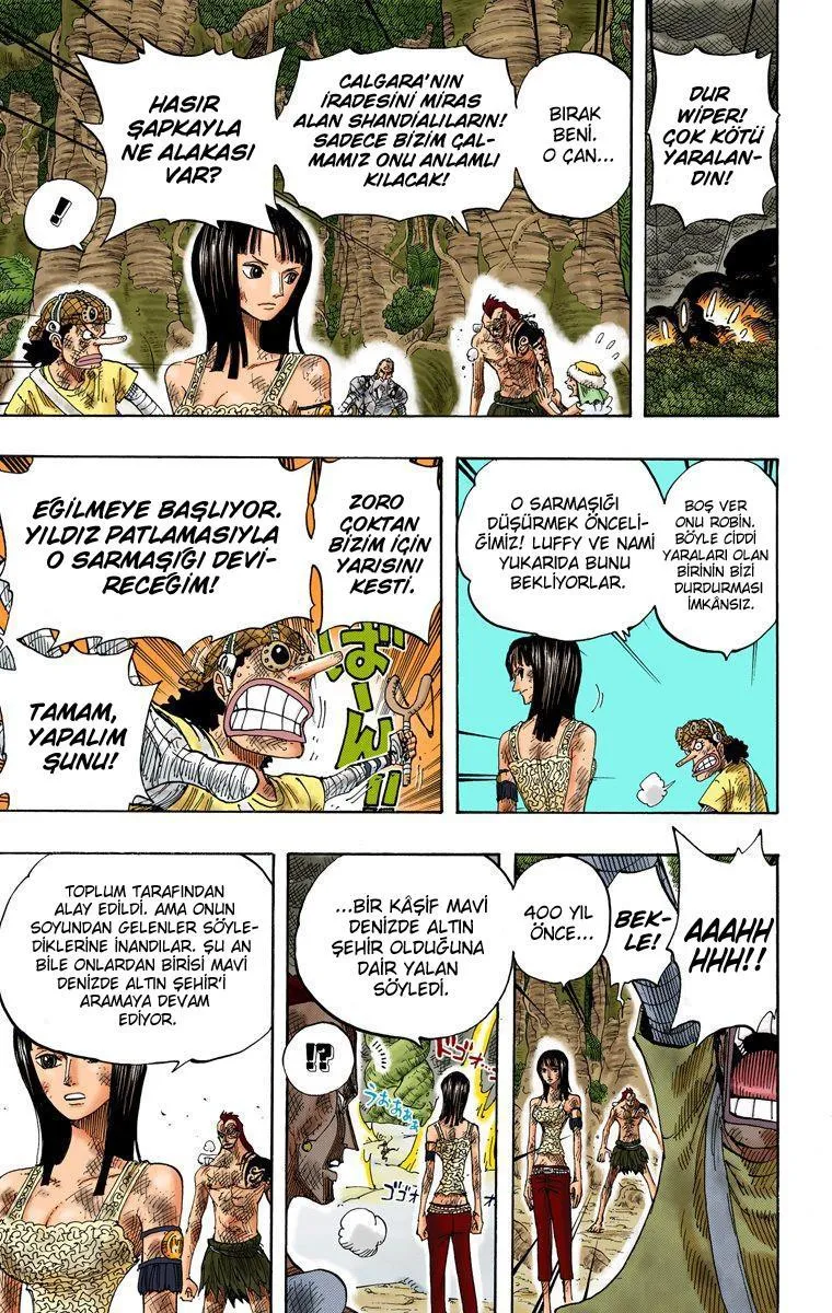 One Piece [Renkli] - Sayfa 12