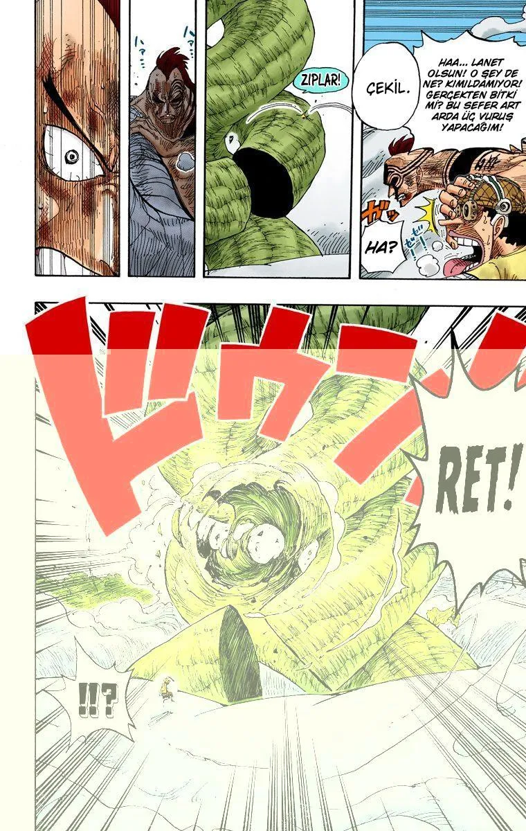 One Piece [Renkli] - Sayfa 15