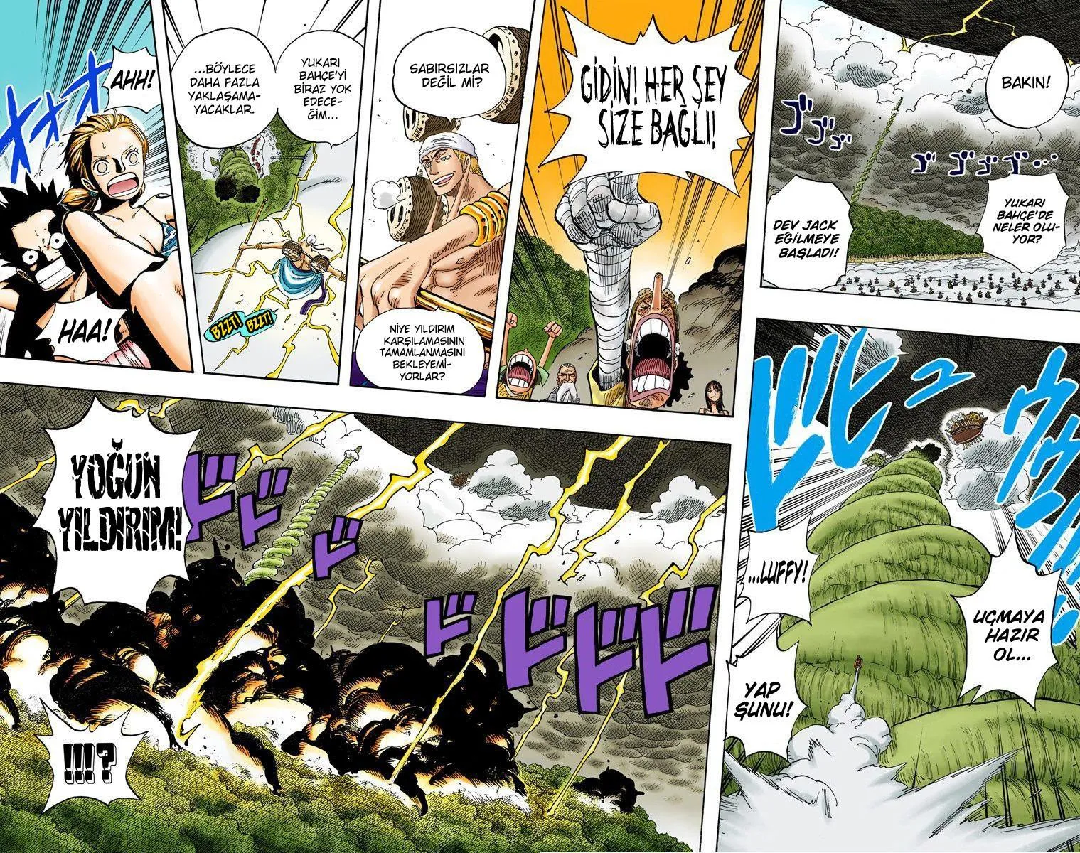 One Piece [Renkli] - Sayfa 19