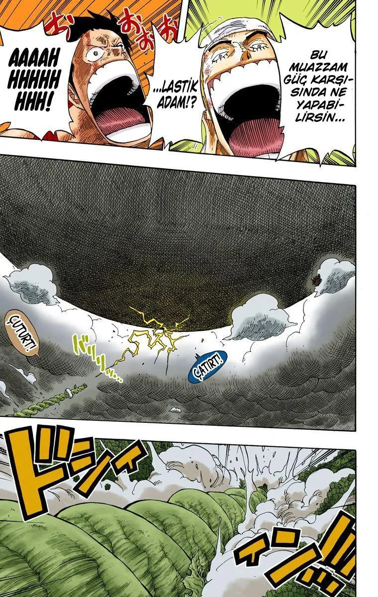 One Piece [Renkli] - Sayfa 12