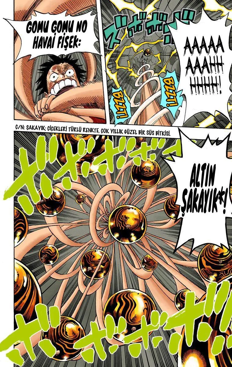 One Piece [Renkli] - Sayfa 13