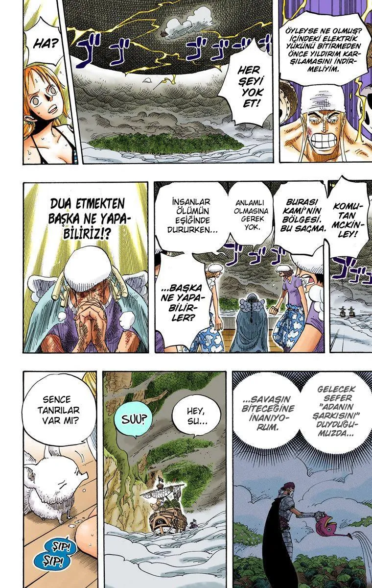 One Piece [Renkli] - Sayfa 15