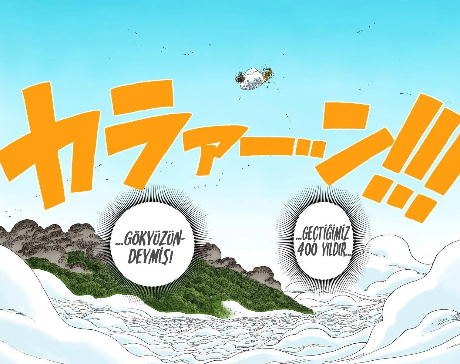 One Piece [Renkli] - Sayfa 15