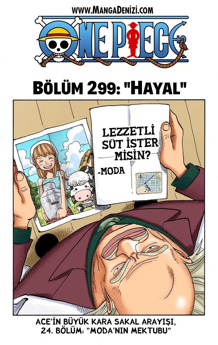 One Piece [Renkli] - Sayfa 2