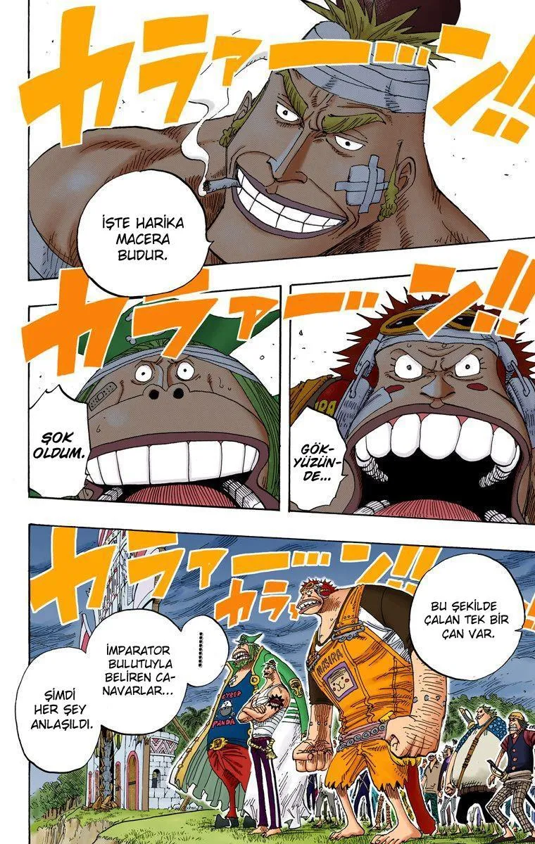 One Piece [Renkli] - Sayfa 10