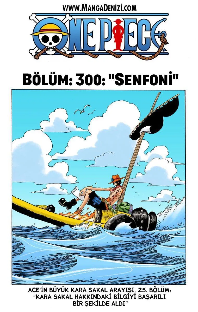 One Piece [Renkli] - Sayfa 2