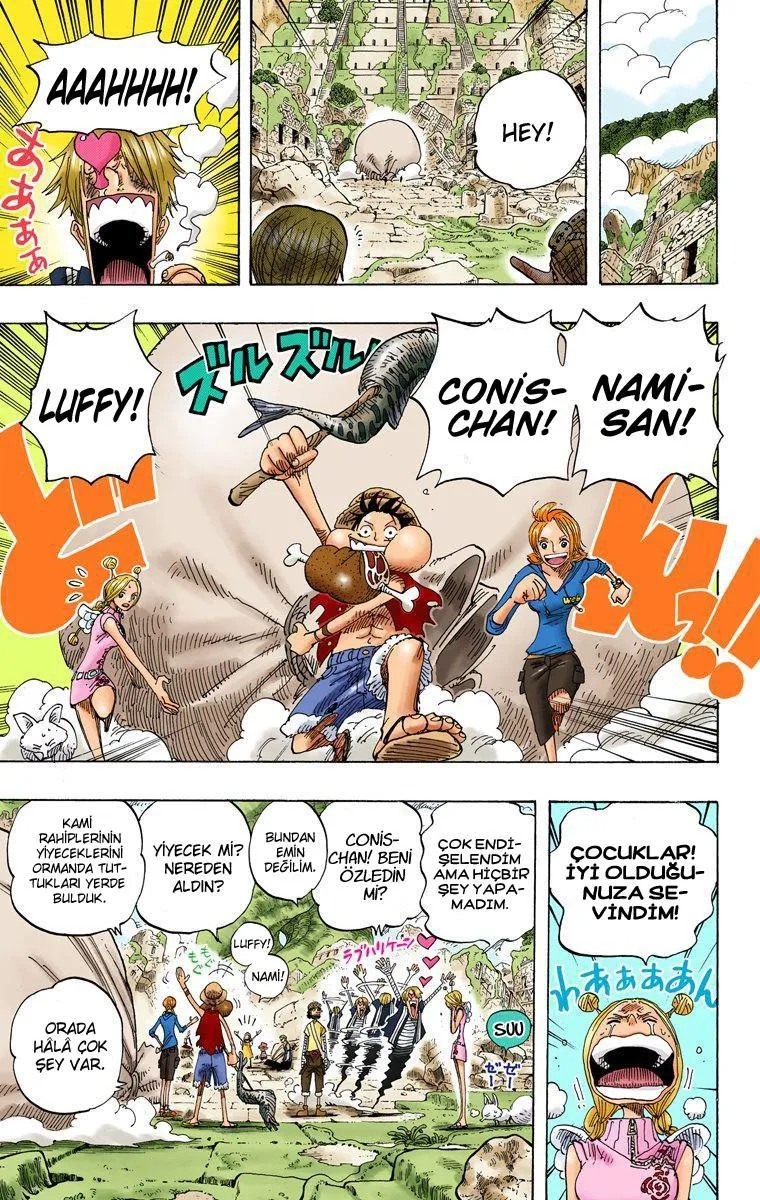 One Piece [Renkli] - Sayfa 8