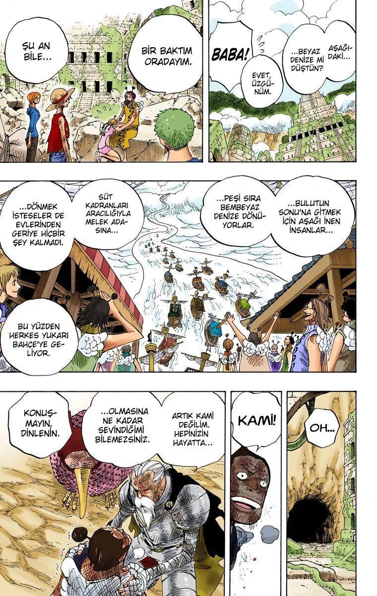 One Piece [Renkli] - Sayfa 10