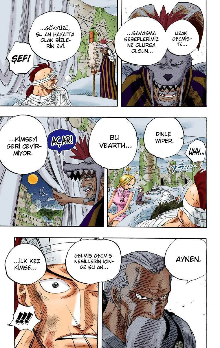 One Piece [Renkli] - Sayfa 15