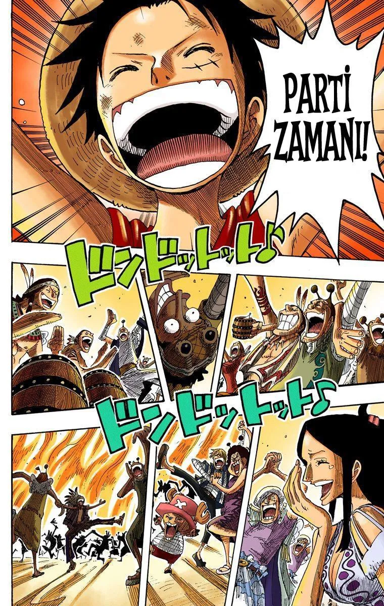 One Piece [Renkli] - Sayfa 17