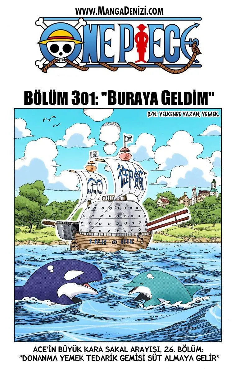 One Piece [Renkli] - Sayfa 2