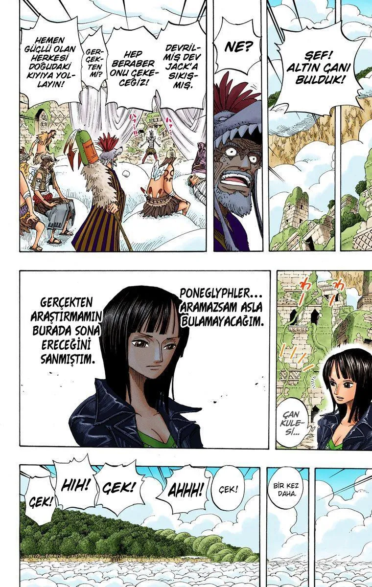 One Piece [Renkli] - Sayfa 5