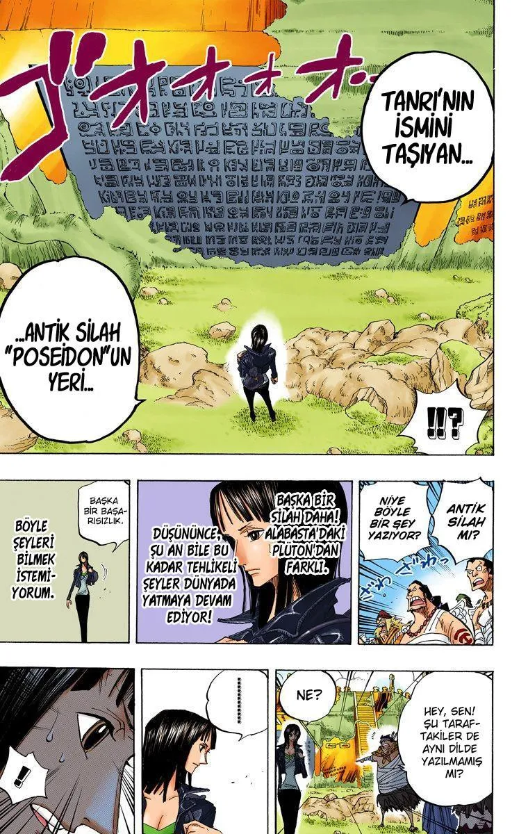 One Piece [Renkli] - Sayfa 12