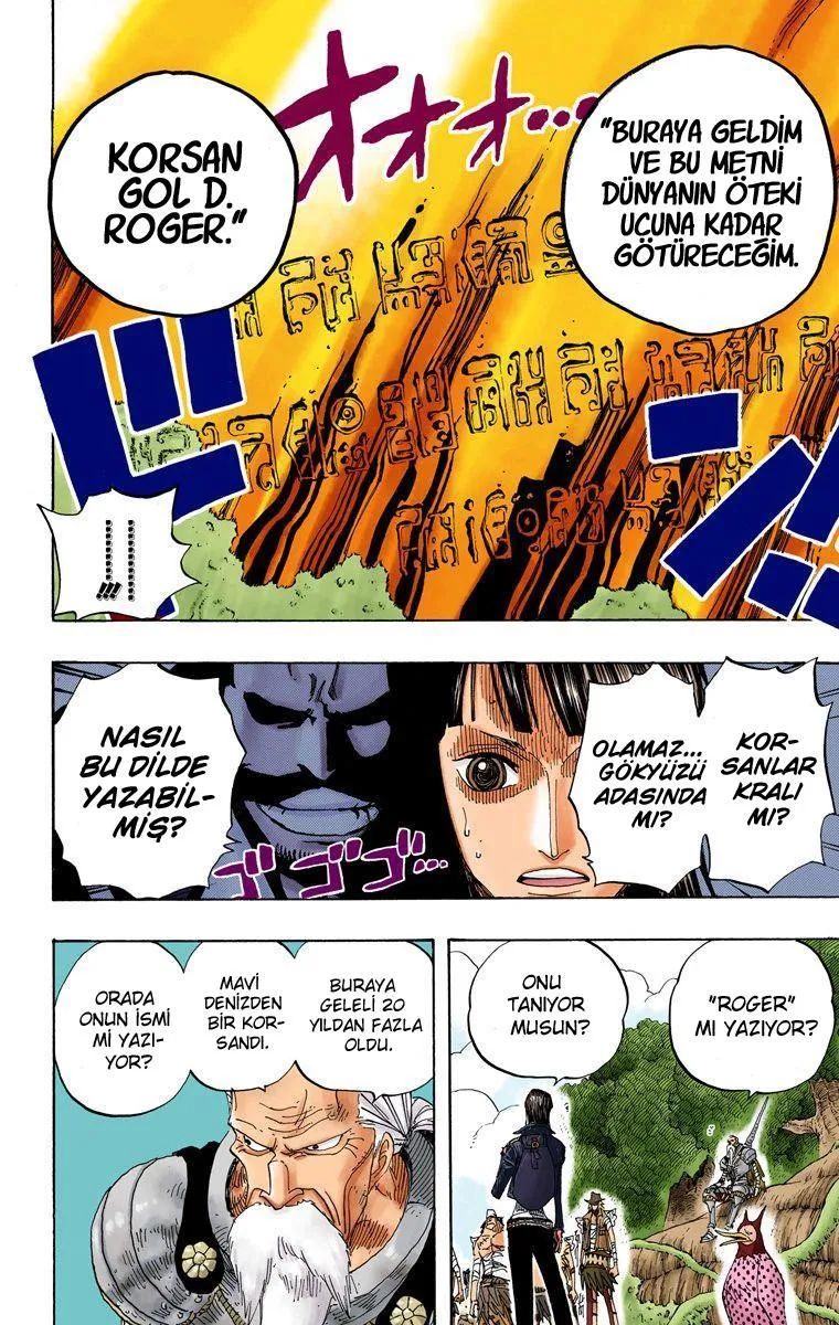 One Piece [Renkli] - Sayfa 13