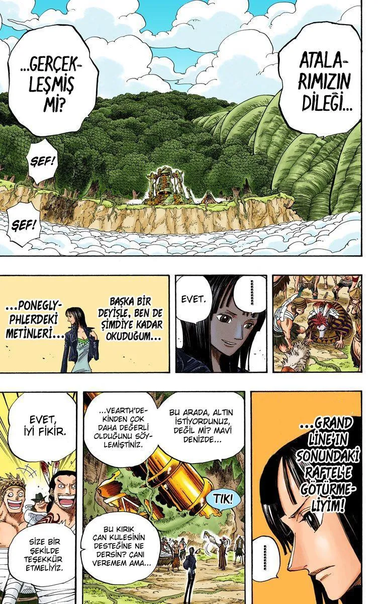 One Piece [Renkli] - Sayfa 16