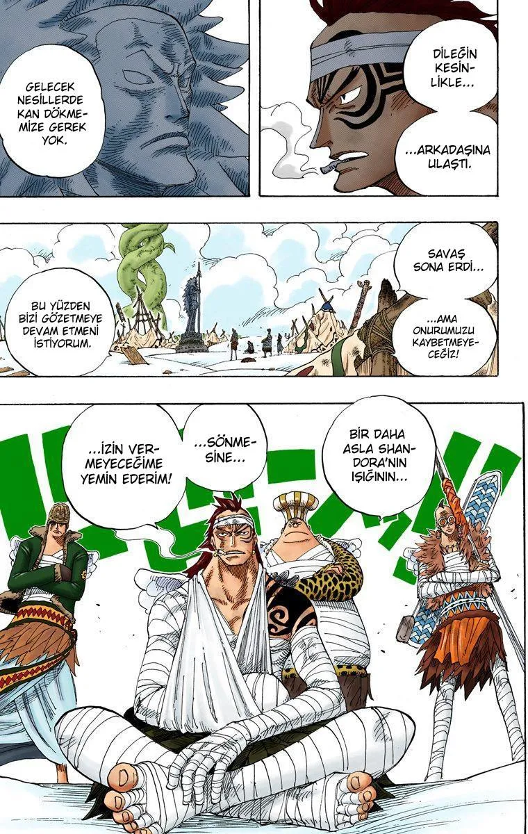 One Piece [Renkli] - Sayfa 6