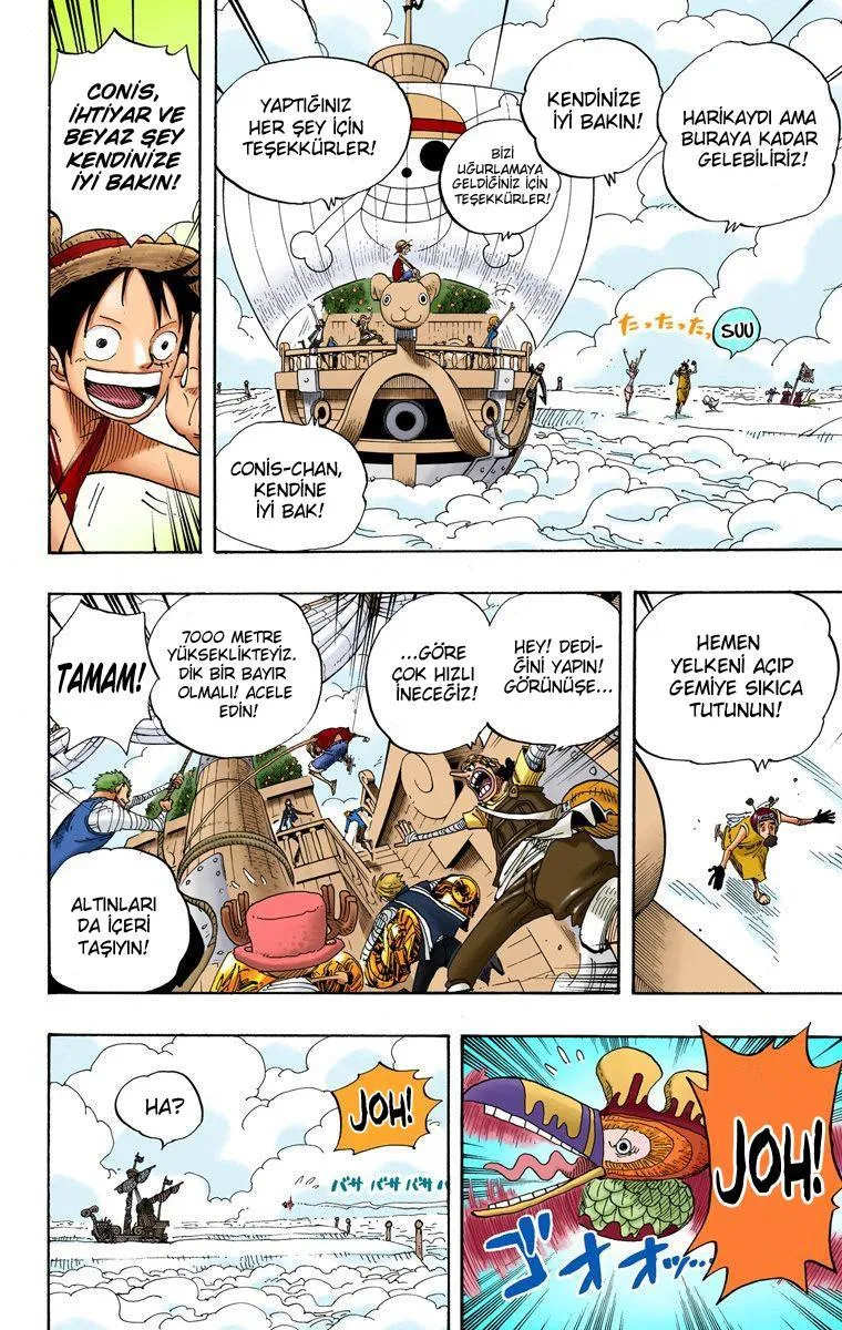 One Piece [Renkli] - Sayfa 11