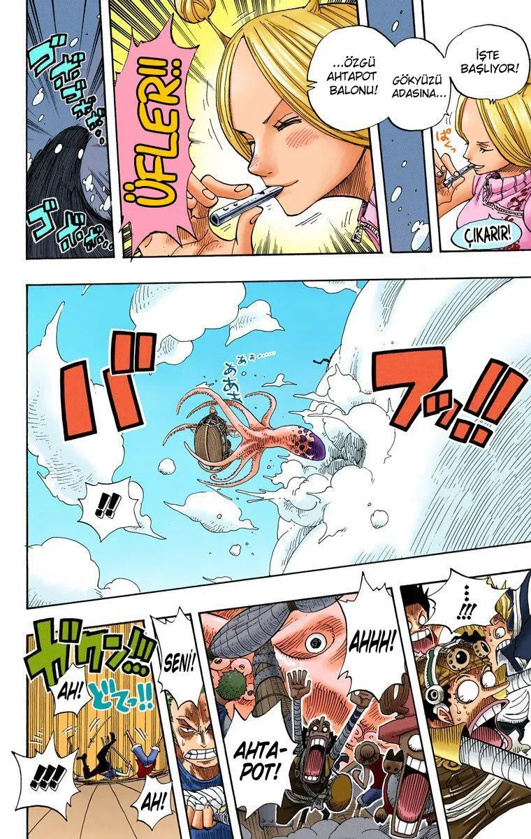 One Piece [Renkli] - Sayfa 14