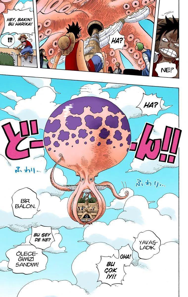 One Piece [Renkli] - Sayfa 15