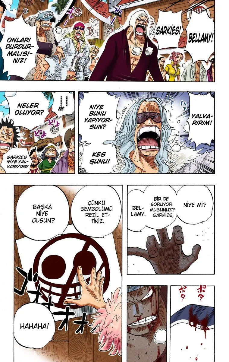 One Piece [Renkli] - Sayfa 6