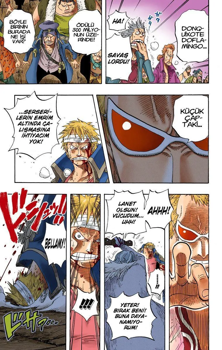 One Piece [Renkli] - Sayfa 8