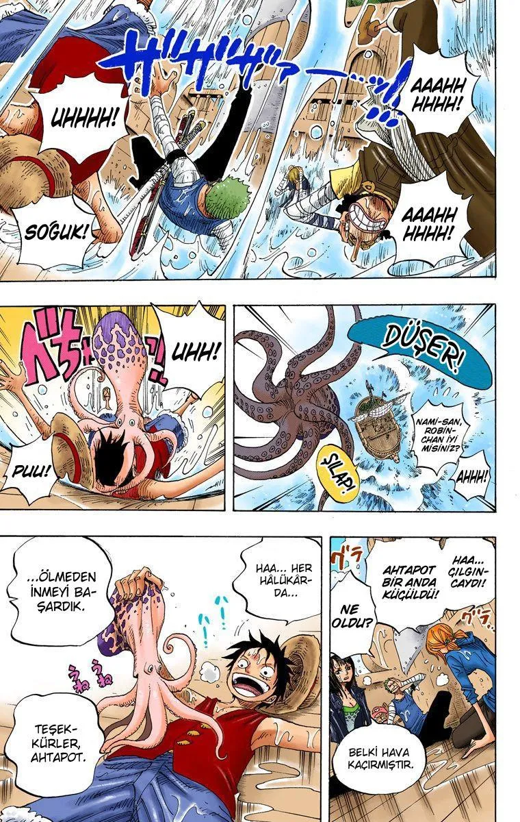 One Piece [Renkli] - Sayfa 12