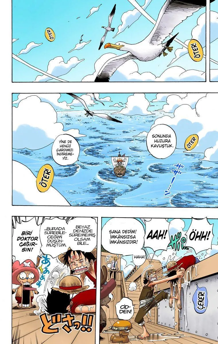 One Piece [Renkli] - Sayfa 15