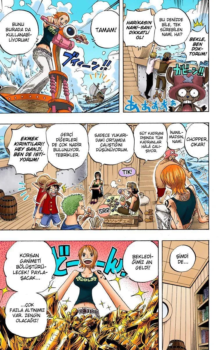 One Piece [Renkli] - Sayfa 16