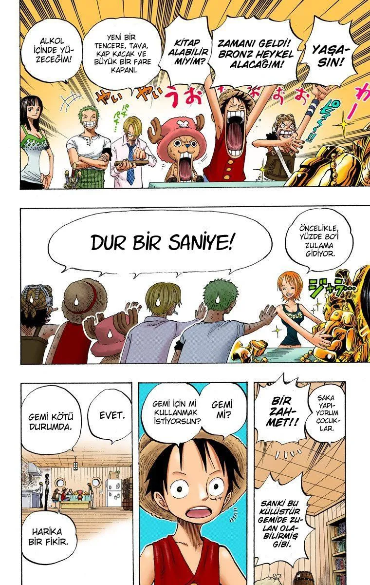 One Piece [Renkli] - Sayfa 17