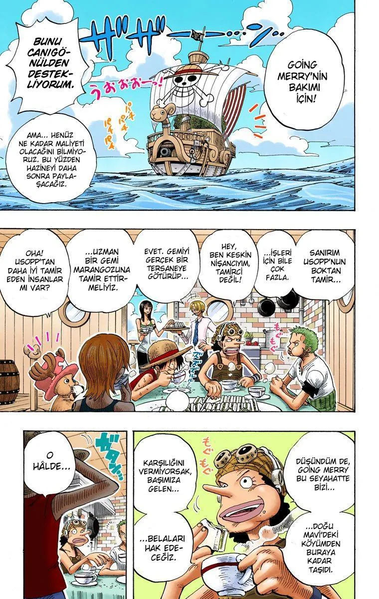 One Piece [Renkli] - Sayfa 18