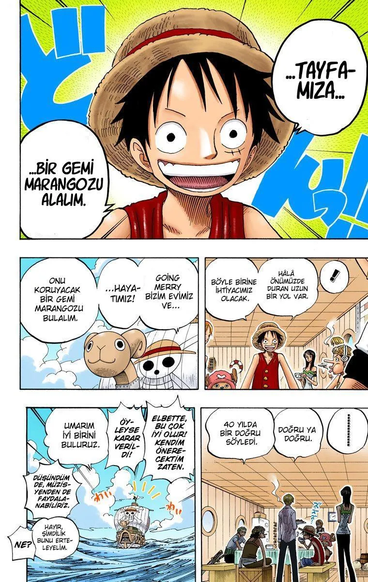 One Piece [Renkli] - Sayfa 19