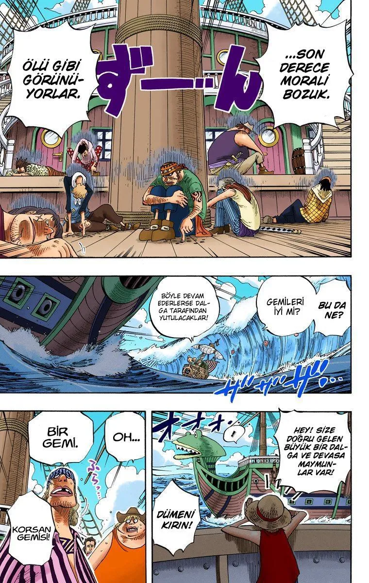 One Piece [Renkli] - Sayfa 5