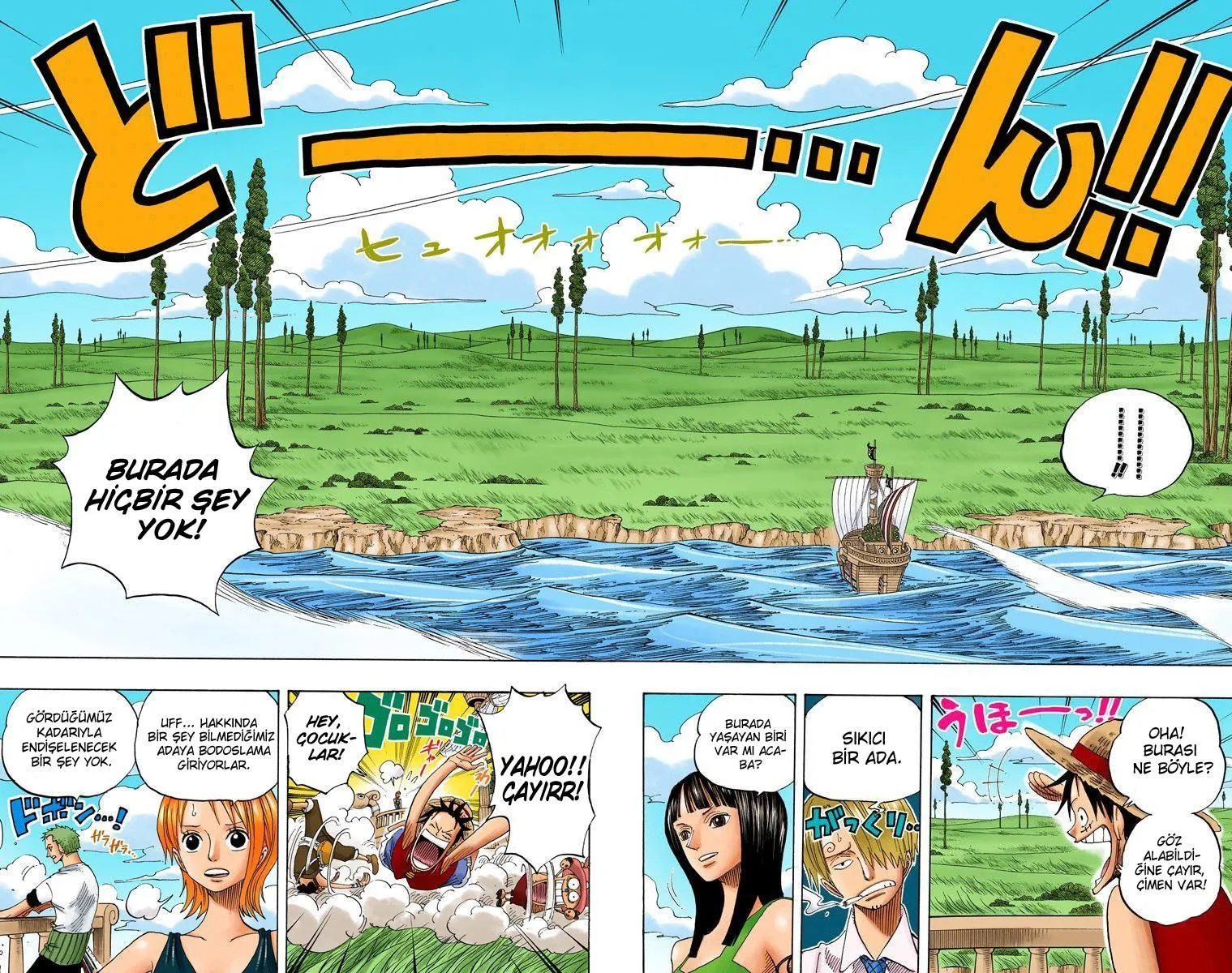 One Piece [Renkli] - Sayfa 10