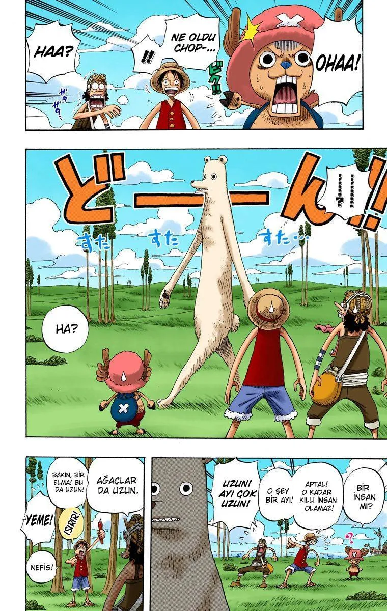 One Piece [Renkli] - Sayfa 11