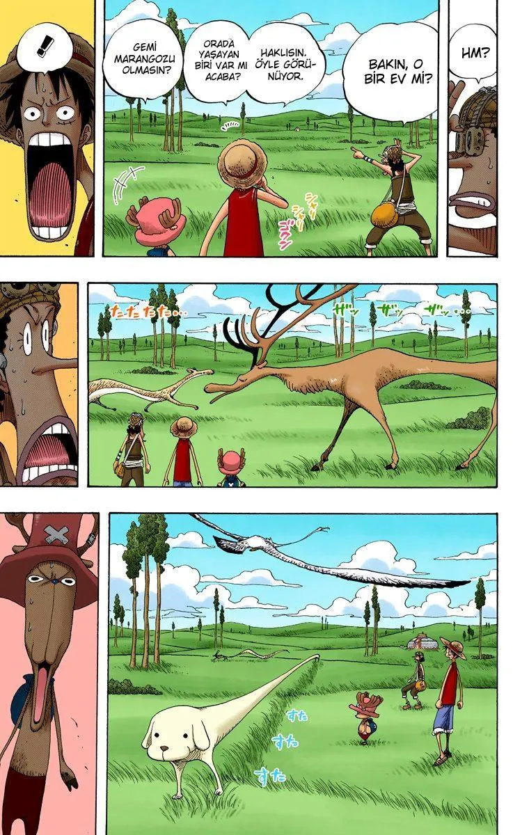 One Piece [Renkli] - Sayfa 12