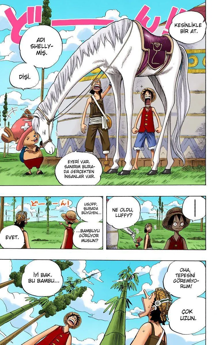 One Piece [Renkli] - Sayfa 14