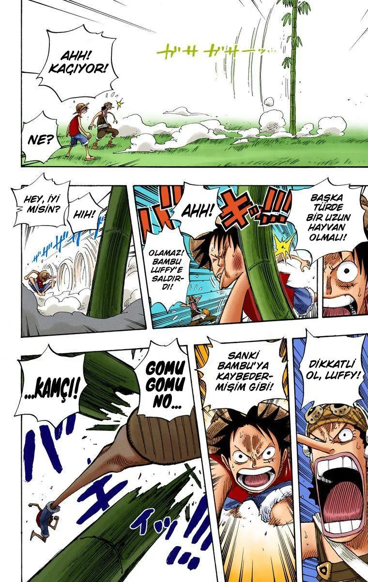 One Piece [Renkli] - Sayfa 15